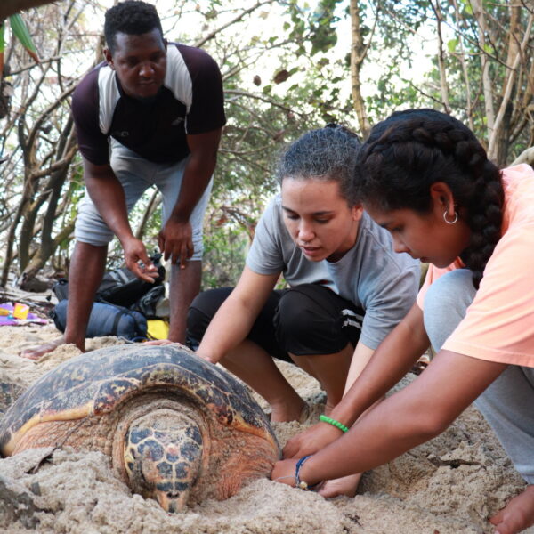 Turtle Village Trust