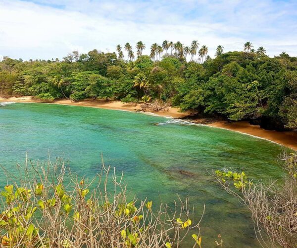 Forest Point and Toco Lighthouse