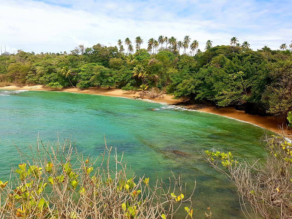 Forest Point and Toco Lighthouse