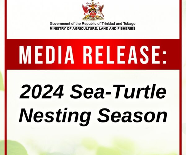 2024 Sea-Turtle Nesting Season