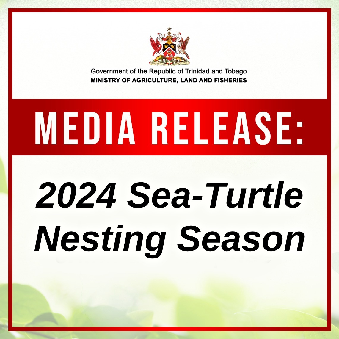 2024 Sea-Turtle Nesting Season