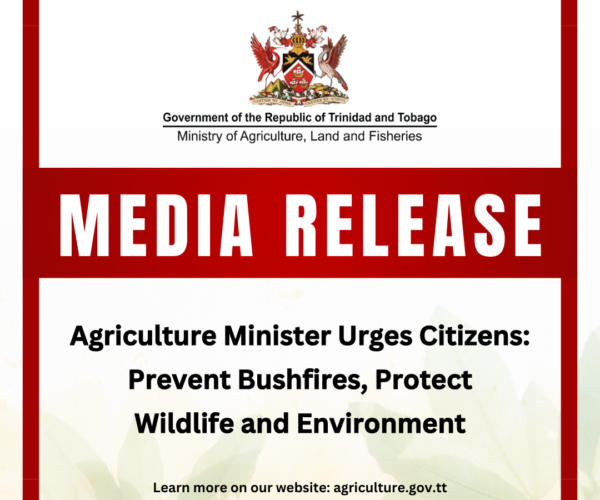 Agriculture Minister Urges Citizens: Prevent Bushfires, Protect Wildlife and Environment